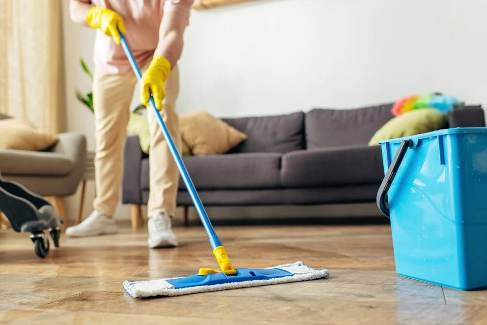 Regular Cleaning