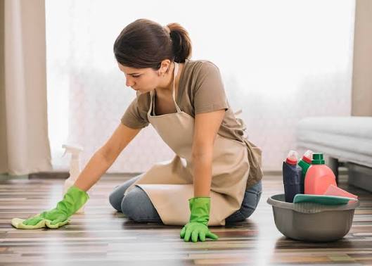Domestic Cleaning